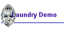 Laundry Demo