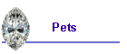 Pets